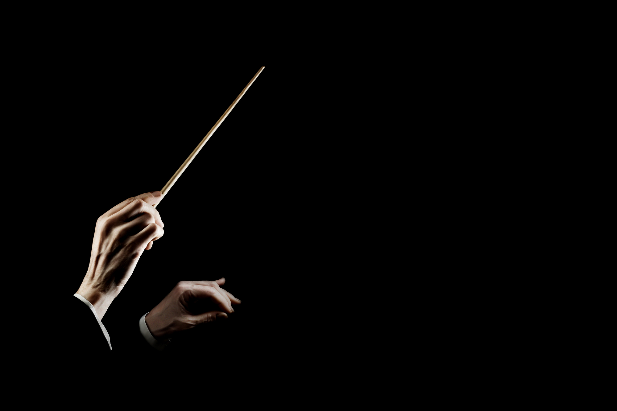 Orchestra Conductor Conducting Music